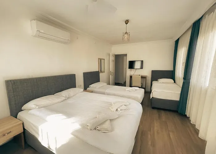 호텔 Guelhan City 3*